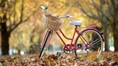 Yellow autumn pink Bicycles baskets