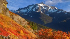 Yellow autumn Washington mount baker