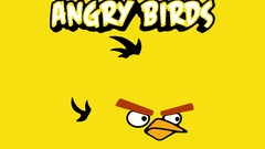 Yellow background yellow bird