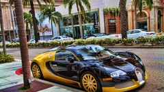Yellow cars Bugatti Wonderland colors bugatti veyron