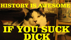 Yellow cats Typography lulz