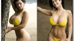 Yellow denise milani big