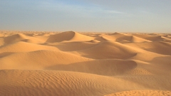 Yellow desert dunes nature