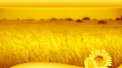 Yellow field amazing artwork