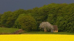 Yellow House complex magazine