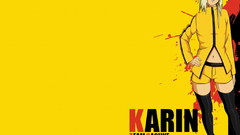 Yellow Kill Bill karin