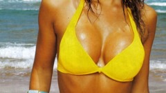 Yellow Krystal Forscutt Beaches