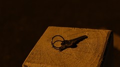 Yellow night Wood post