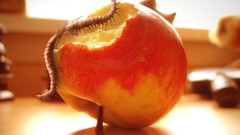 Yellow orange abstract