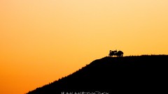 Yellow orange abstract