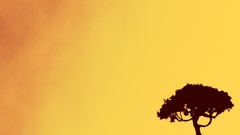 Yellow orange abstract