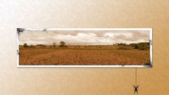 Yellow orange abstract