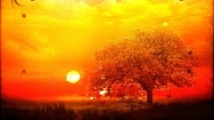 Yellow orange abstract funny