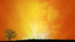 Yellow orange abstract funny