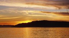 Yellow orange abstract funny