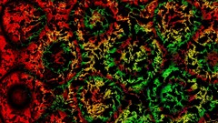 Yellow red Green circles multicolor