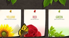 Yellow red Green colors