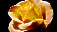 Yellow roses fantasy art artistic Fractalius