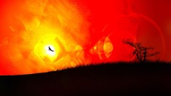 Yellow sun black red Birds silhouettes artwork