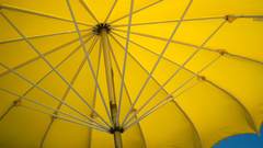 Yellow Umbrellas