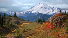 Yellow Washington mount baker