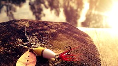 Yellow water white fish sweden iphone 4 iphone 4s wipp