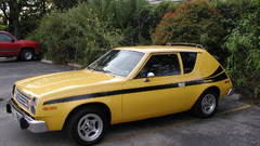 Yellow wise like gremlin