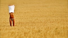 Yellow woman legs blondes brunettes panties boobs white shirt