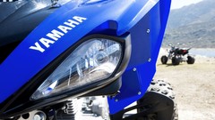 YFM250R depth of field