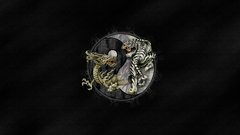 Yin yang chinese characters