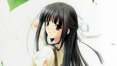 Yosuga no sora
