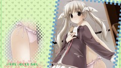 Yosuga no sora