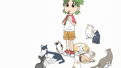 Yotsuba Anime