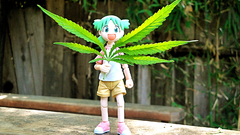 Yotsuba dolls figurines yotsubato