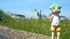 Yotsuba Noko kusaba Anime