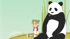Yotsuba panda bears yotsubato