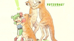 Yotsuba yotsubato kangaroos Anime