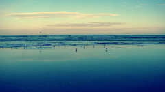 You are wizard coastal