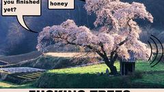 You beat anon dammit fuckingtrees