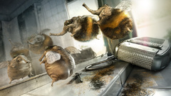 You bumblebee high haha Resolution 1360 framebox