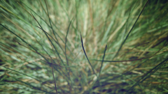 You have anything of