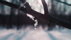 You high fucking dare saari how Resolution