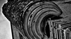 You mean prairie Dogs