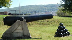 You pretty memorial veterans mean sure cannon