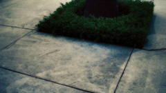 You them glad dustscratches