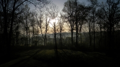 You these took noticed hadnt