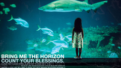 Your blessings bump high