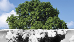 Your You and kind gentleman sir thank scholar