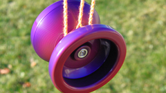 Yoyo