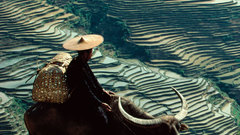 Yunnan terrace high World